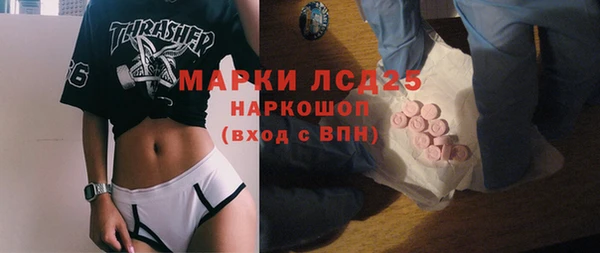 стаф Алексин
