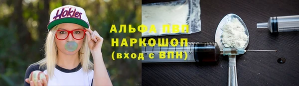 стаф Алексин