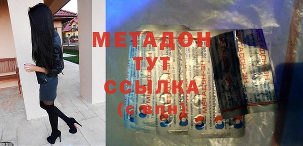 стаф Алексин