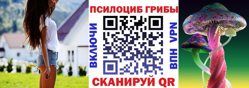 Псилоцибиновые грибы Psilocybine cubensis  Лихославль 